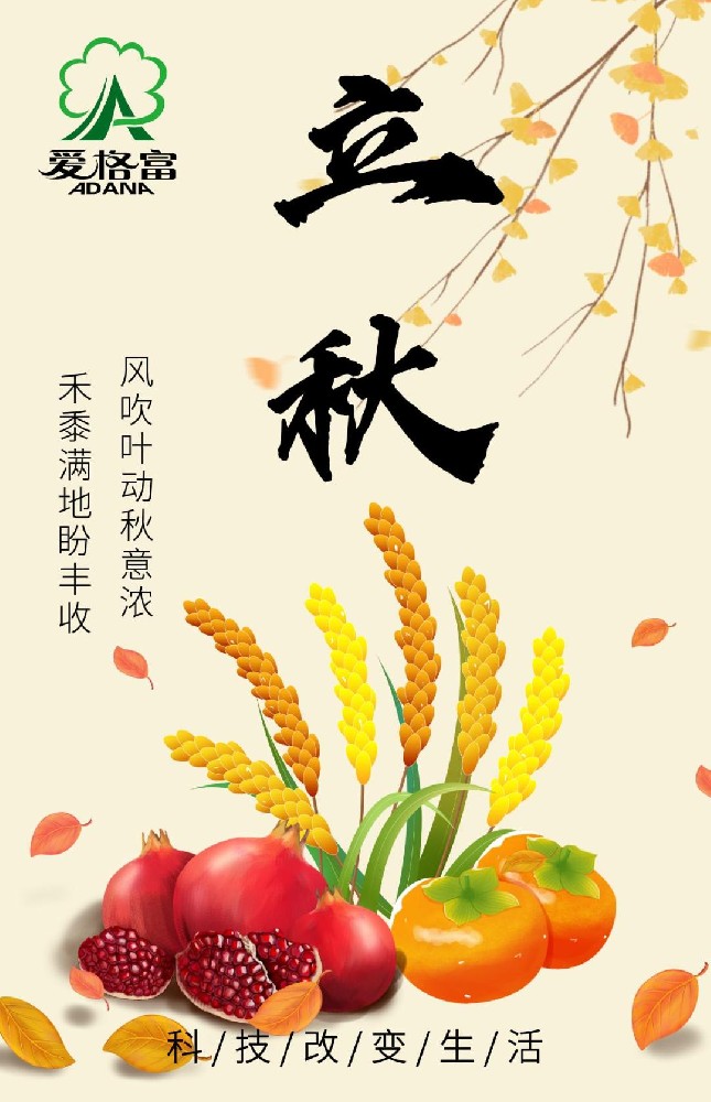 二十四节气之立秋