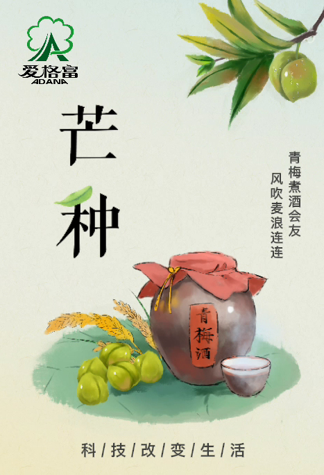 芒种：仲夏至　麦飘香