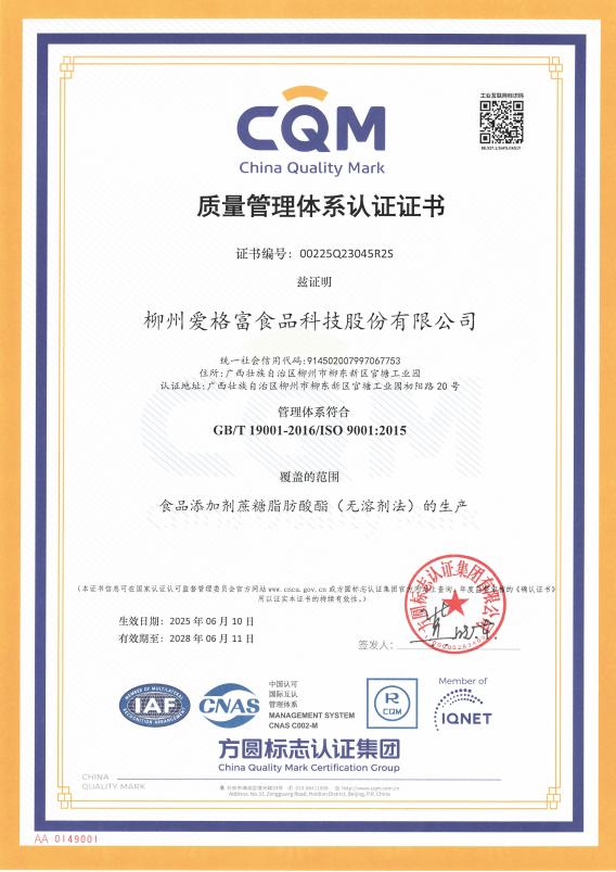 爱格富顺利通过2025年度ISO双管理体系再认证